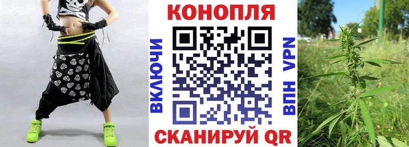 Шишки марихуана Amnesia Павловская